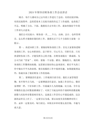 2024年领导在财务部工作会议讲话(二)