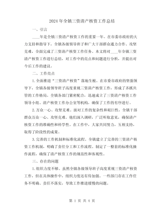 2024年全镇三资清产核资工作总结(2)