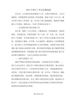 2024年统计工作总结精选版(五) 