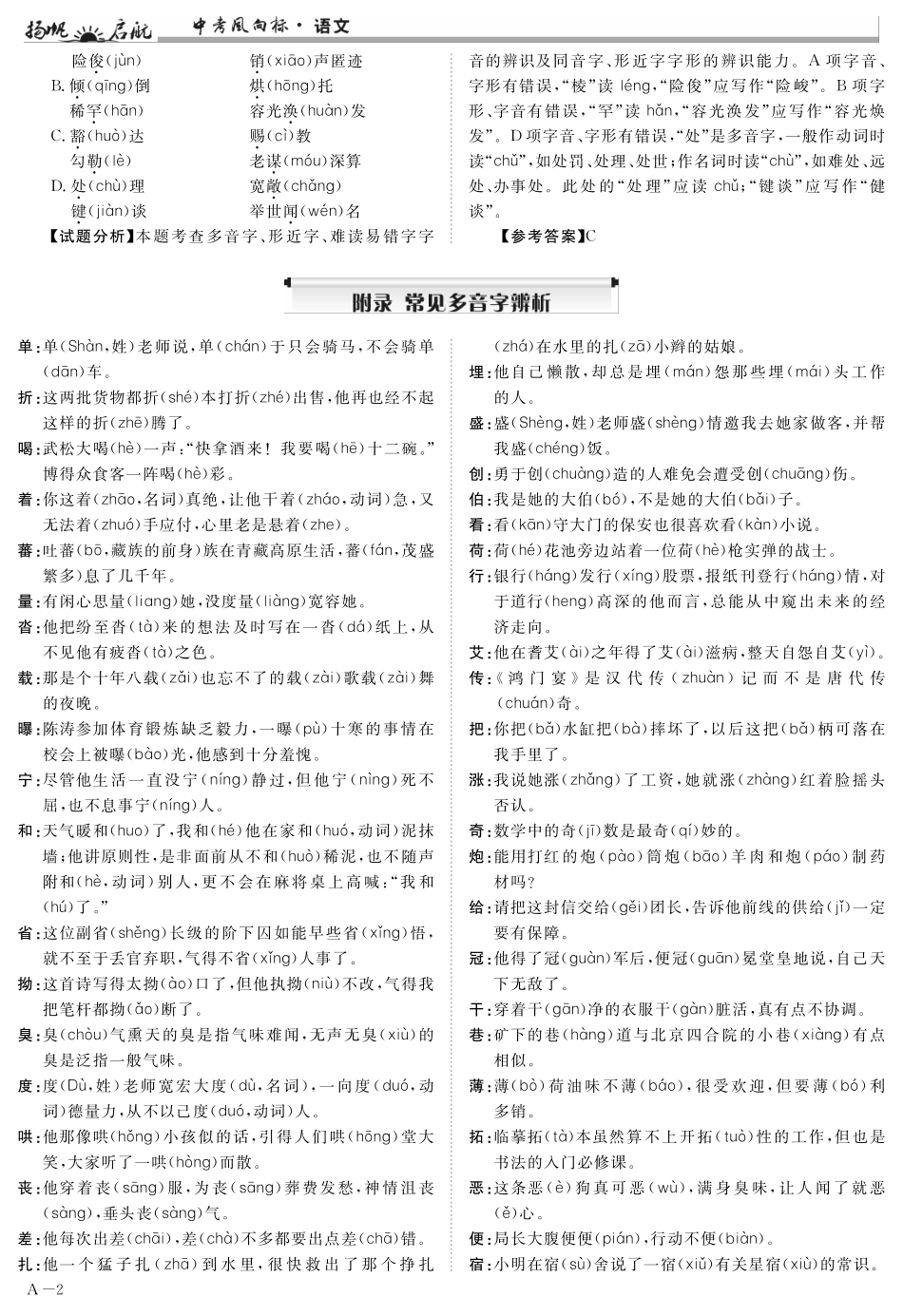 中考语文 第一部分 基础知识及运用 专题一 字音字形精讲1(pdf)试卷_第2页