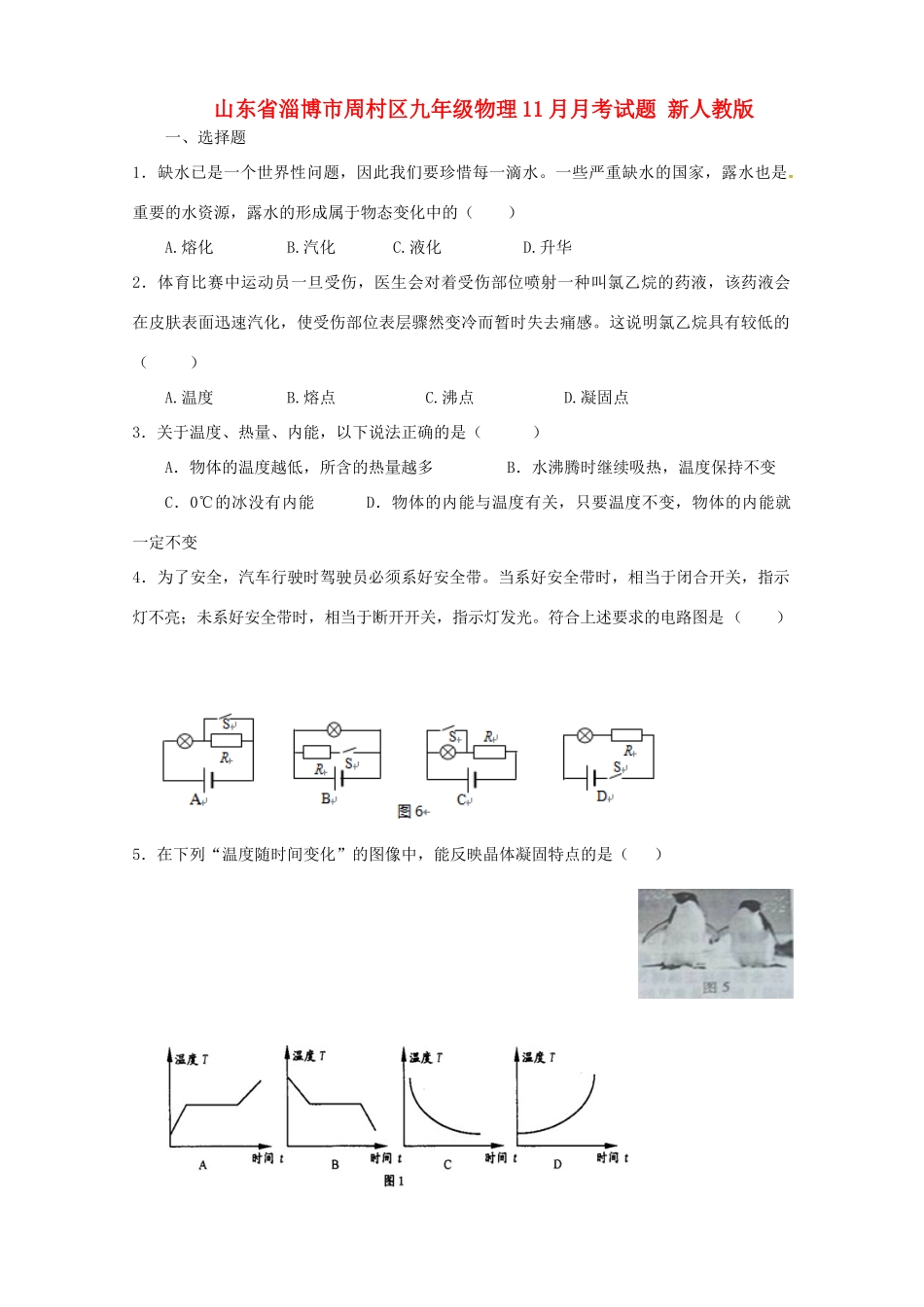 山东省淄博市周村区九年级物理11月月考试卷 新人教版试卷_第1页