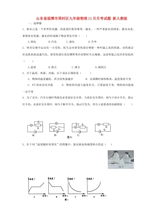 山东省淄博市周村区九年级物理11月月考试卷 新人教版试卷