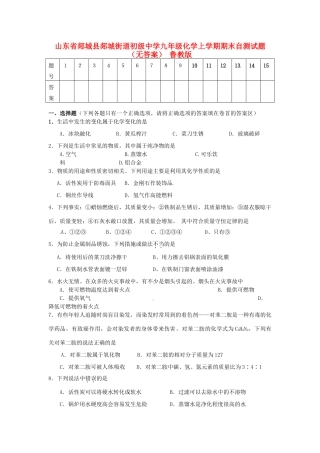 九年级化学上学期期末自测试卷 鲁教版试卷