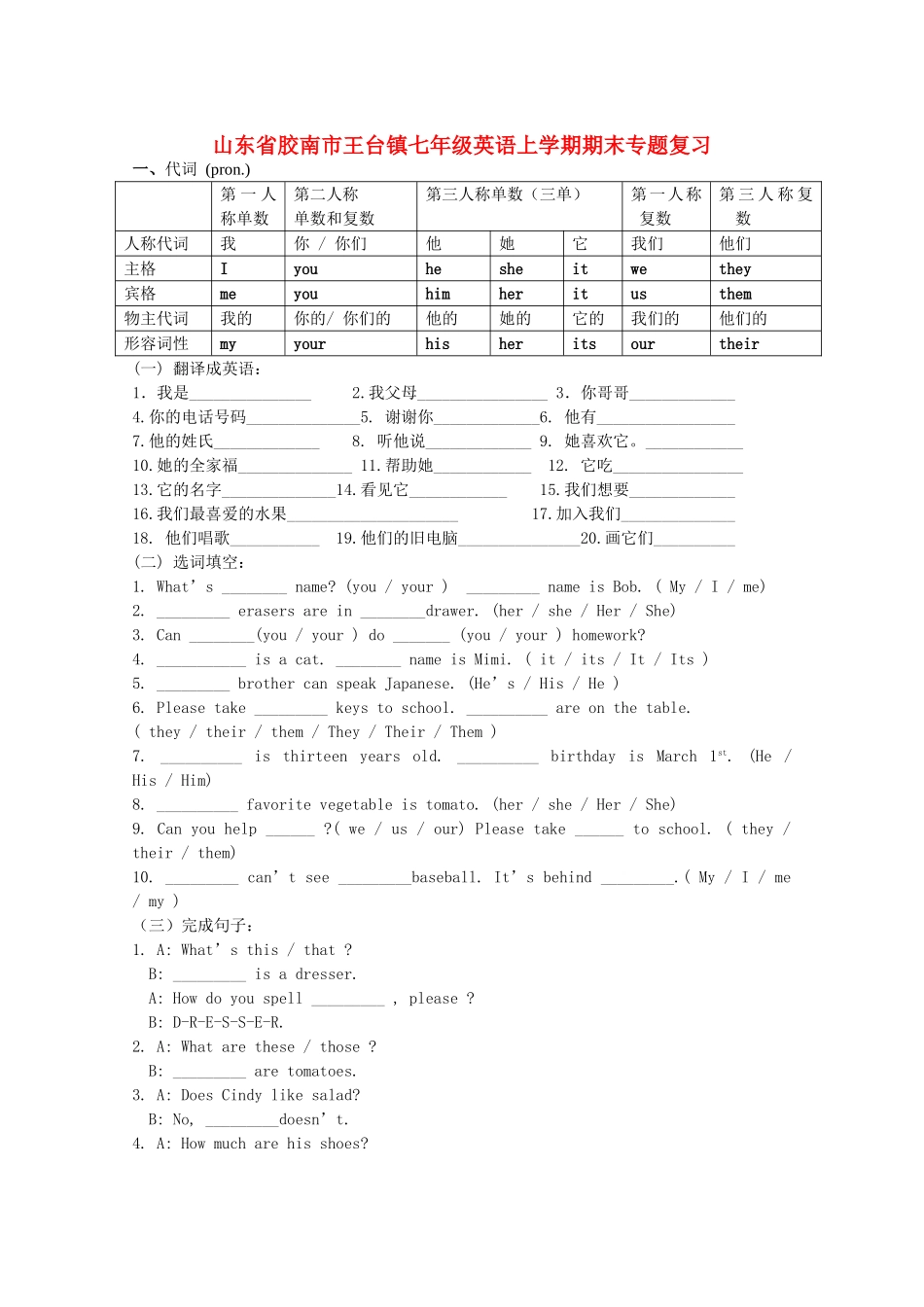 山东省胶南市王台镇七年级英语上学期期末专题复习试卷_第1页