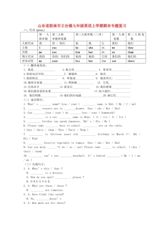 山东省胶南市王台镇七年级英语上学期期末专题复习试卷