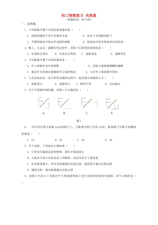 北师大版初三物理复习 光现象试卷
