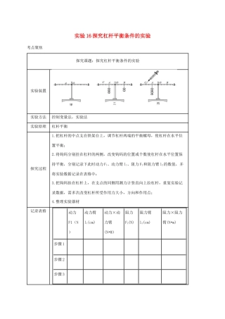 中考物理必考实验精解精练专题 实验16  探究杠杆平衡条件的实验试卷
