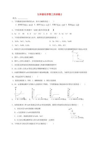 九年级化学下学期第三次训练试卷(2)试卷