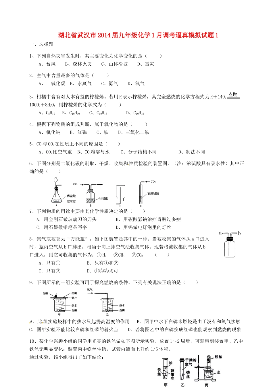九年级化学1月调考逼真模拟试卷1试卷_第1页
