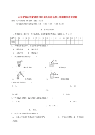 山东省临沂市蒙阴县九年级化学上学期期末考试试卷 新人教版试卷