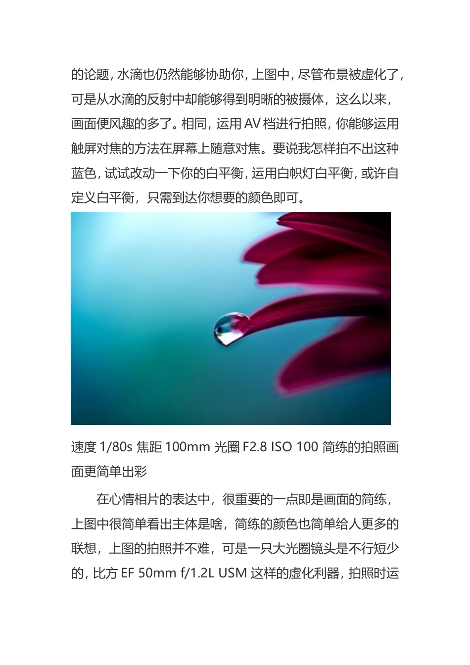 摄影技巧之生活摄影全攻略_第3页