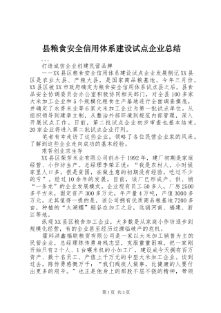 县粮食安全信用体系建设试点企业总结 