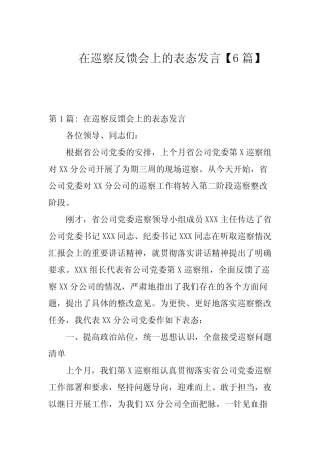 在巡察反馈会上的表态发言【6篇范文】