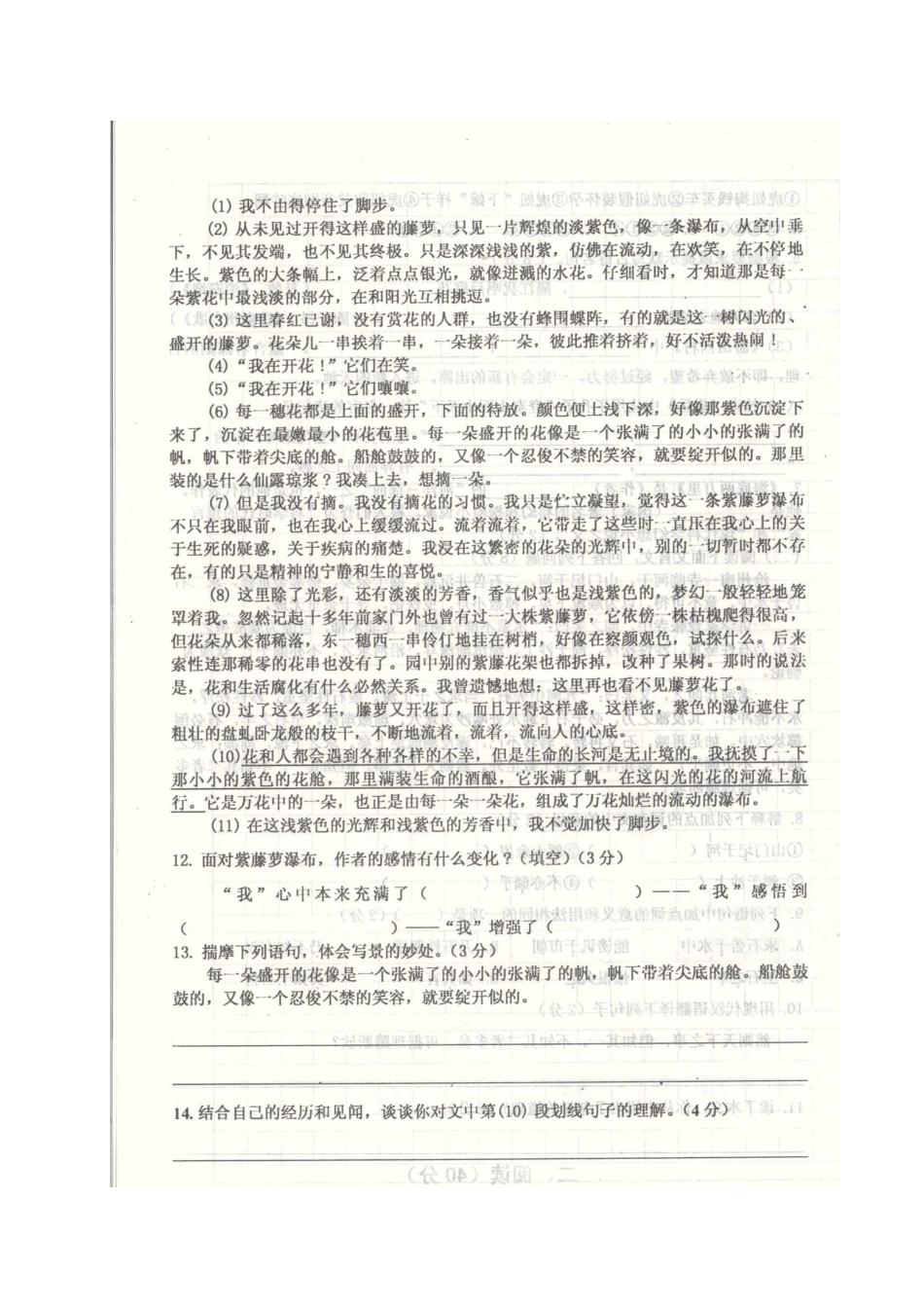 山东省菏泽单县七年级语文下学期期末质量检测统一试卷苏教版试卷_第3页
