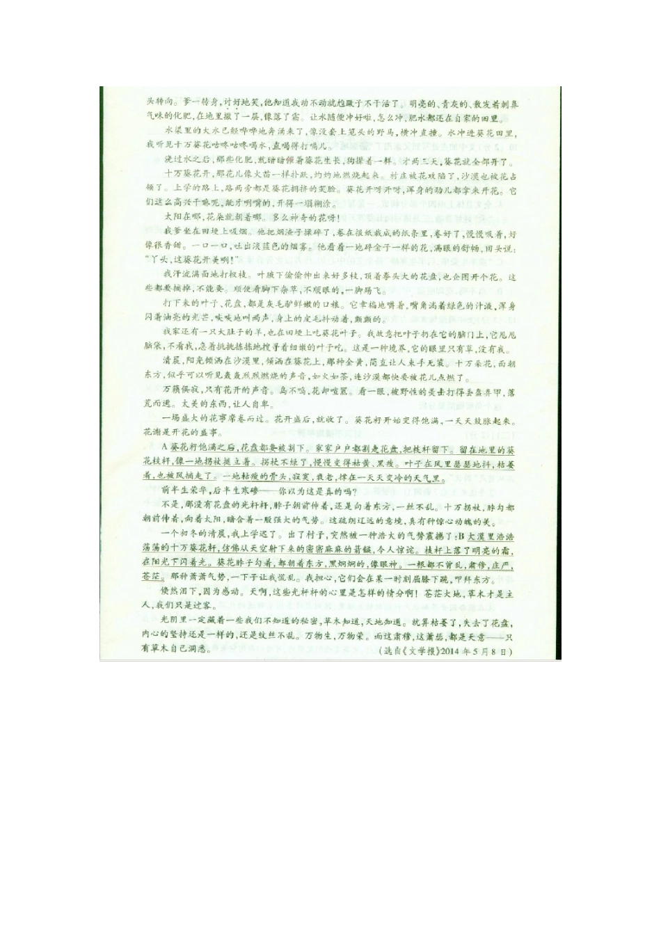 初中语文升学考试模拟试题一(扫描版) 试题_第3页