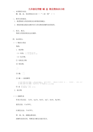 九年级化学酸 碱 盐 氧化物知识小结 天津版试卷