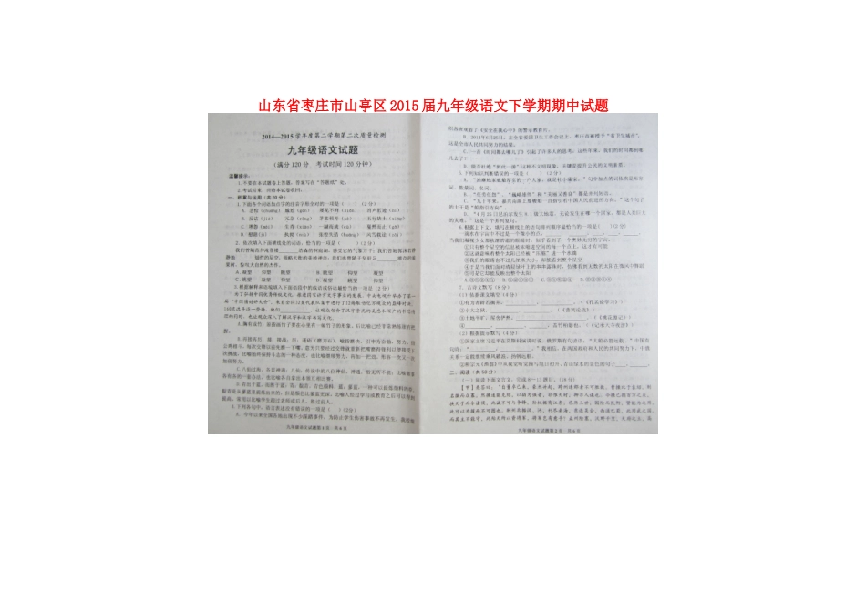 山东省枣庄市山亭区九年级语文下学期期中试卷试卷_第1页
