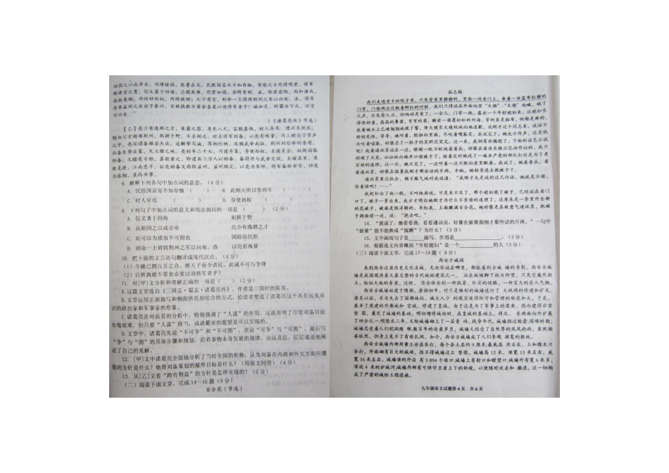 山东省枣庄市山亭区九年级语文下学期期中试卷试卷_第2页