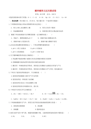 九年级化学下册 第十单元 酸和碱单元过关测试卷(新版)新人教版试卷
