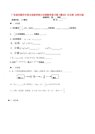 九年级数学复习课(整式)日日清 北师大版试卷