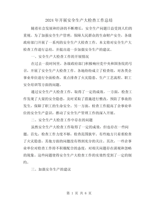 2024年开展安全生产大检查工作总结(二)