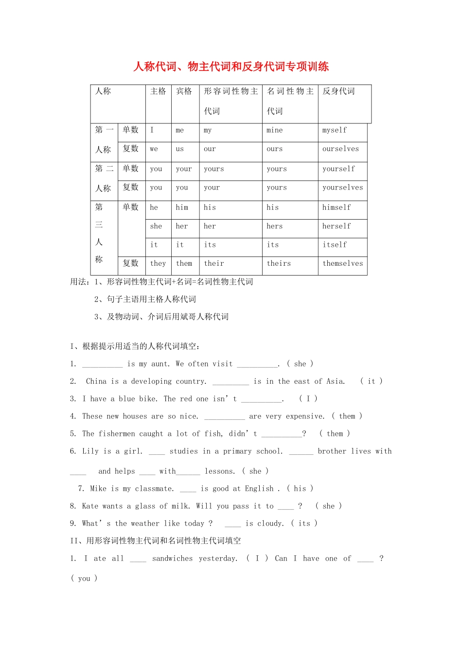 中考英语 人称代词专项训练 人教新目标版试卷_第1页