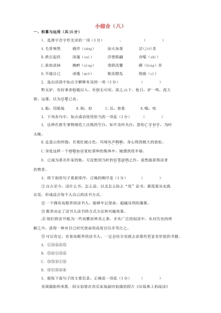 中考语文第二轮复习 小综合(八)试卷