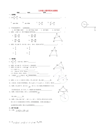 九年级数学上学期周末自测卷(相似、圆) 新人教版试卷