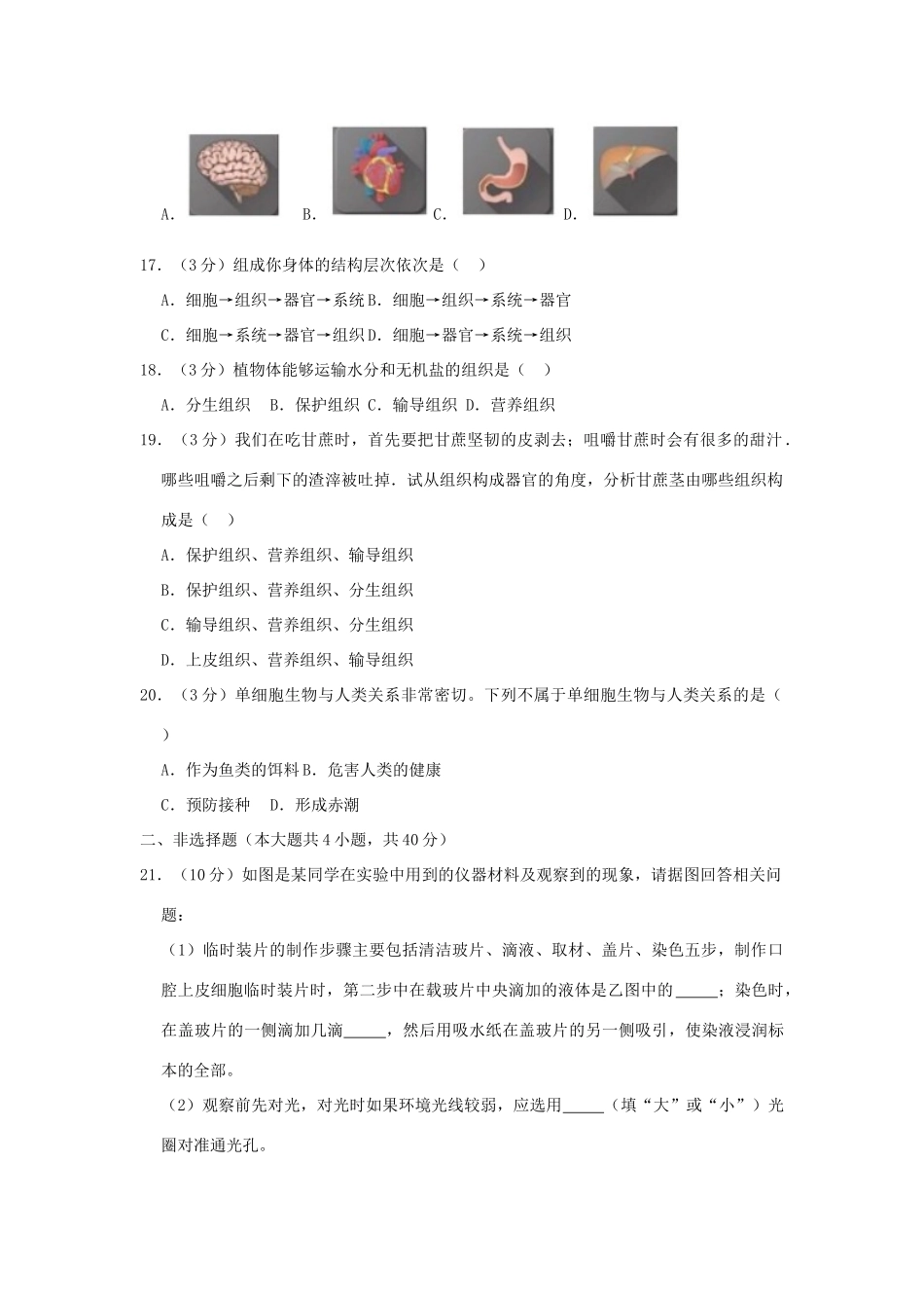 安徽省池州市七年级生物上学期期中试卷试卷_第3页