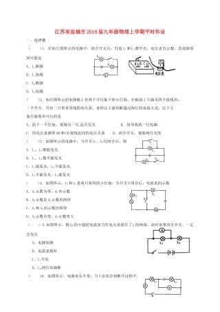 九年级物理上学期平时作业8试卷