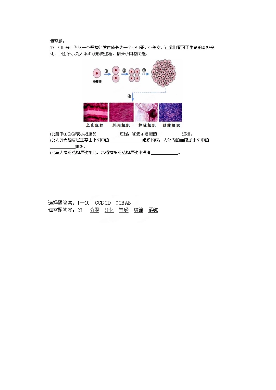 初中届九年级生物9月月考试题(无答案) 试题_第3页