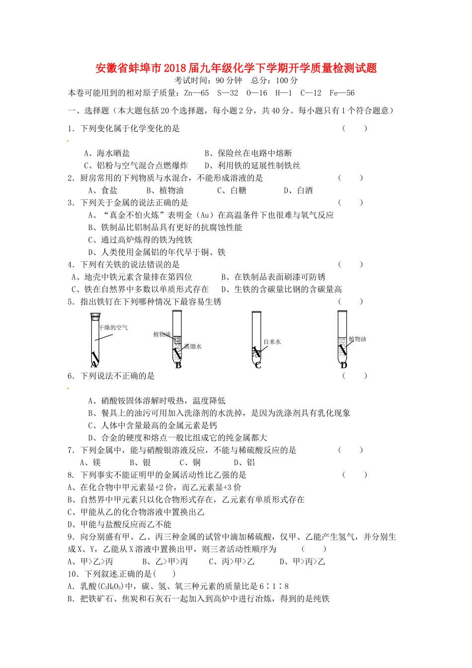 九年级化学下学期开学质量检测试卷试卷_第1页