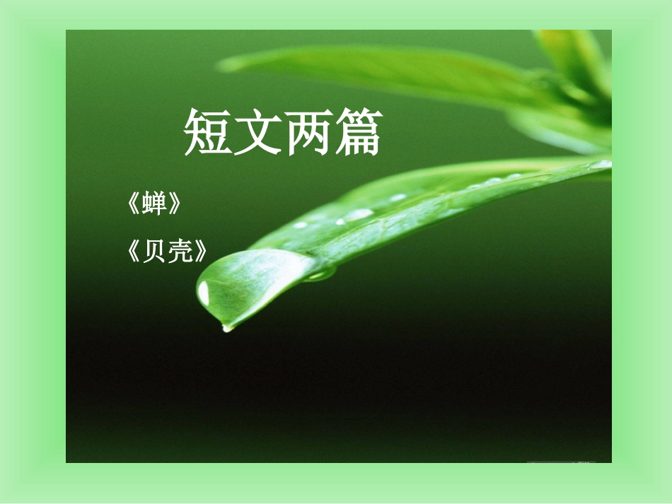 《蝉、贝壳》课件2_第1页