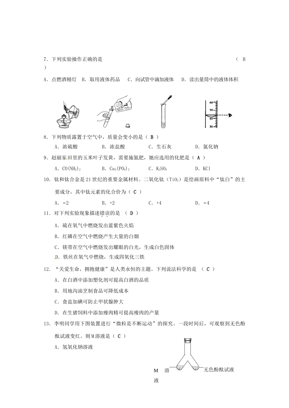 九年级化学第四次模拟考试试卷_第2页