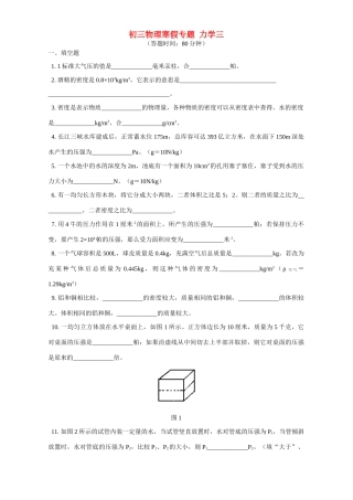 北师大版初三物理寒假专题 力学三试卷