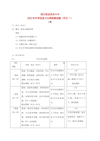 中考语文总复习分类检测试卷 作文试卷