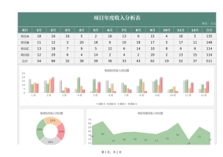 项目年度收入分析表