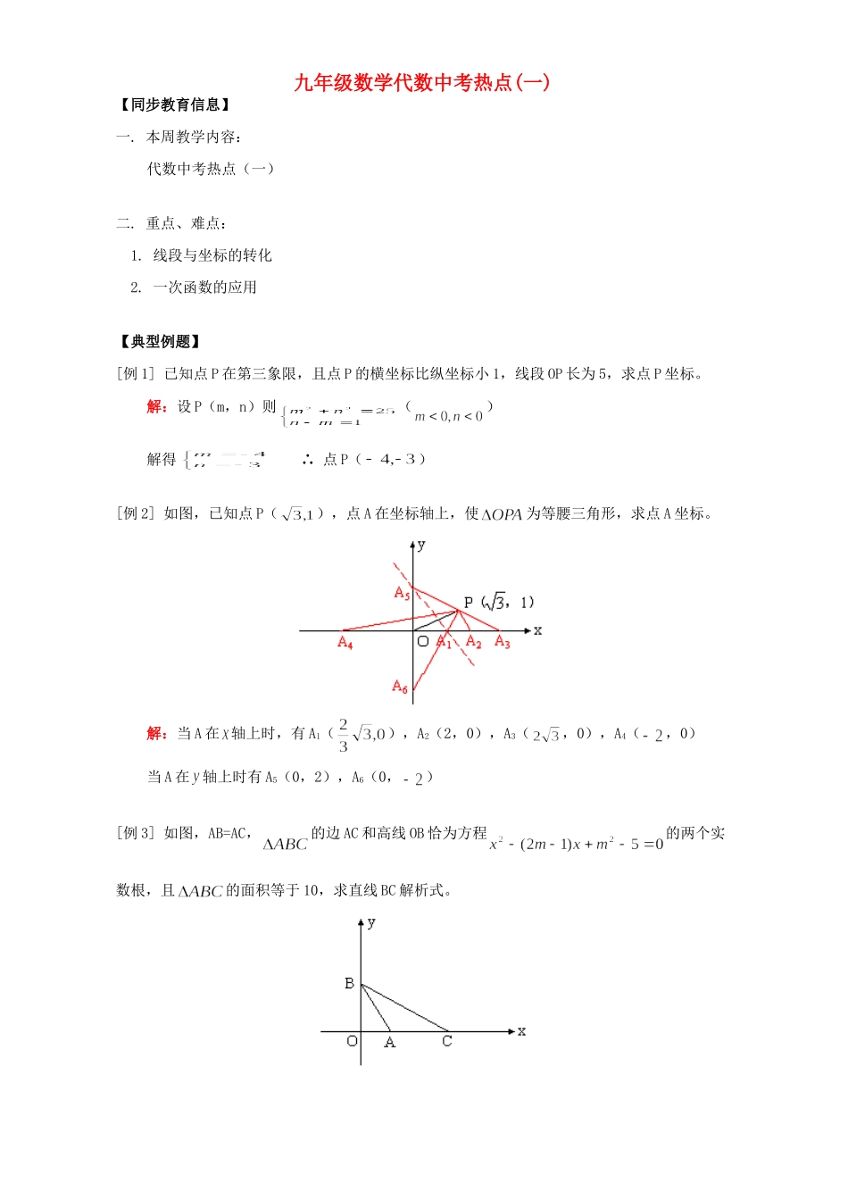 九年级数学代数中考热点(一)人教四年制版试卷_第1页