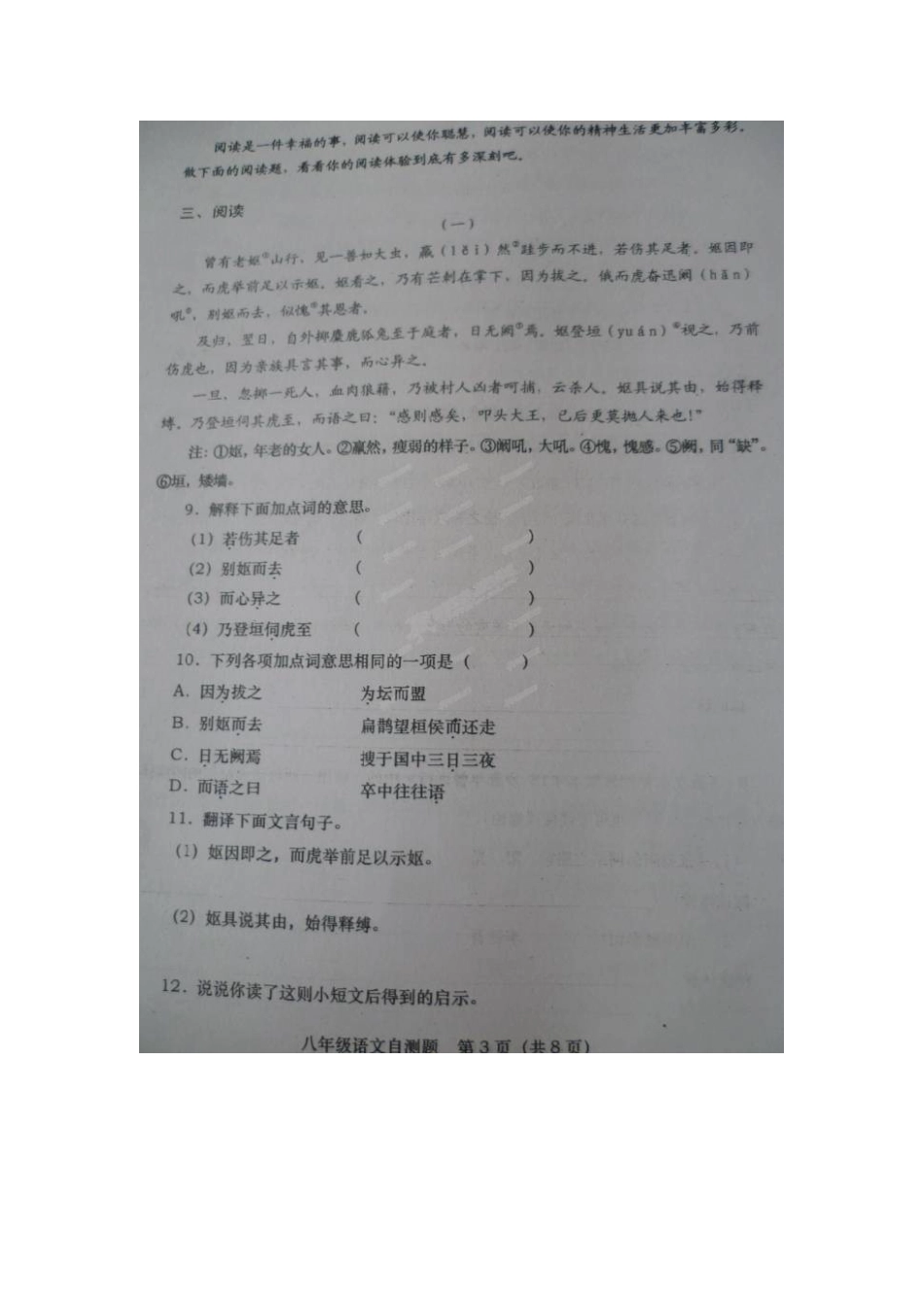 山东省栖霞市八年级语文下学期期末考试试卷鲁教版(五四学制)试卷_第3页