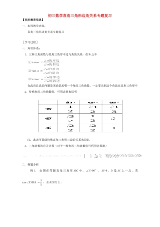 初三数学直角三角形边角关系专题复习 北师大版 试题