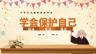 小学生法制教育宣传日PPT