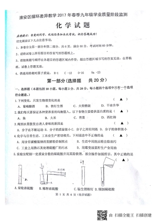 九年级化学下学期第一次月考试卷(pdf)试卷