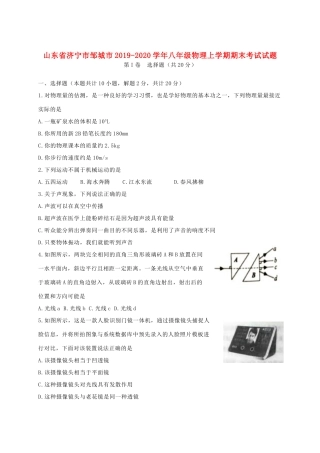 山东省济宁市邹城市 八年级物理上学期期末考试试卷
