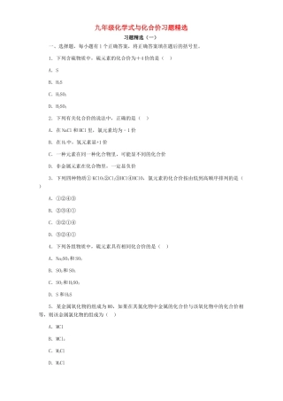 九年级化学式与化合价习题精选试卷