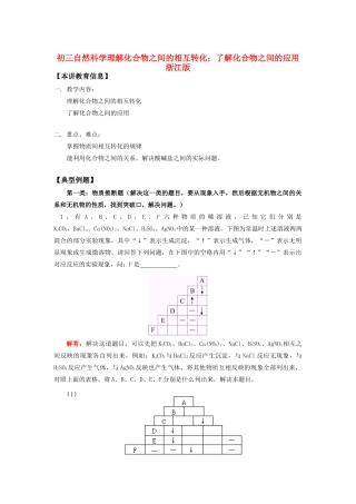 九年级化普理解化合物之间的相互转化；了解化合物之间的应用浙江版知识精讲试卷