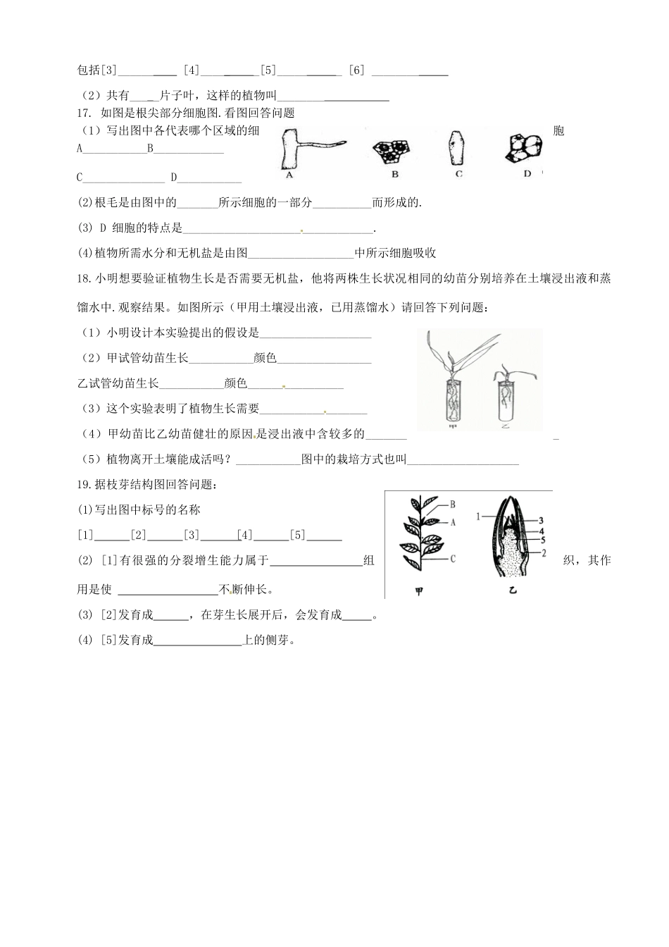 山东省枣庄市台儿庄区涧头二中八年级生物阶段性诊断试卷 新人教版试卷_第2页