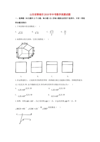 山东省聊城市中考数学真题试卷(含扫描答案)试卷