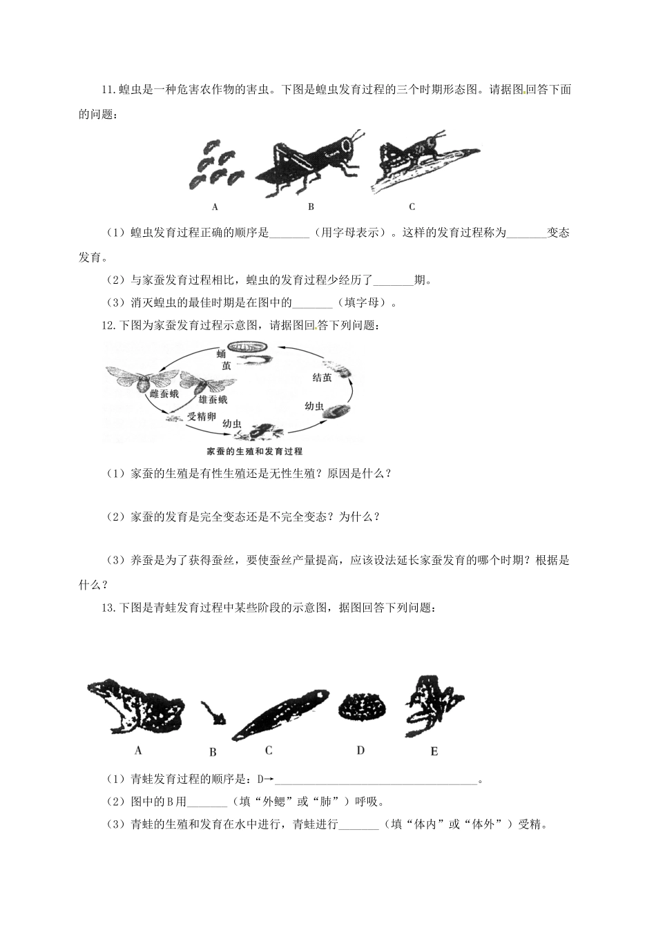 山东省八年级生物下册 第7单元 第1章 生物的生殖和发育复习(新版)新人教版试卷_第3页