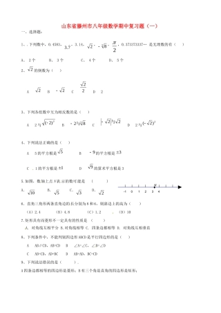 山东省滕州市八年级数学期中复习题(一)试卷