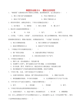 九年级寒假作业化学试卷(8) 新人教版试卷